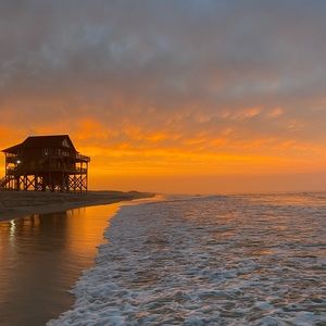 Meet your Posher, Charlie